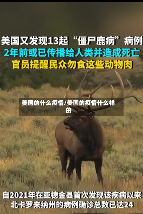 美国的什么疫情/美国的疫情什么样的-第2张图片