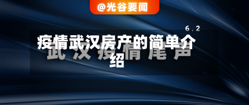 疫情武汉房产的简单介绍