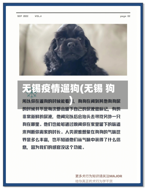 无锡疫情遛狗(无锡 狗)