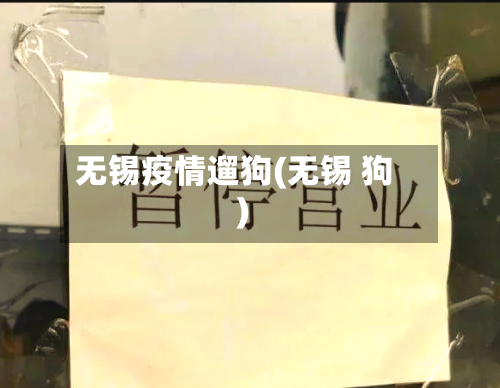 无锡疫情遛狗(无锡 狗)-第2张图片