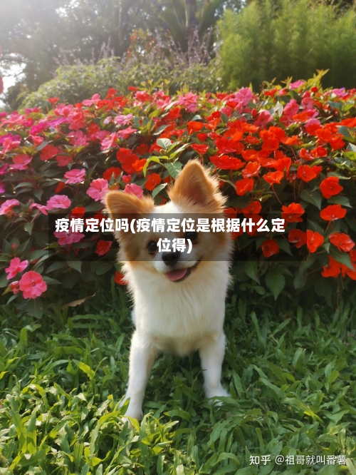 疫情定位吗(疫情定位是根据什么定位得)-第3张图片