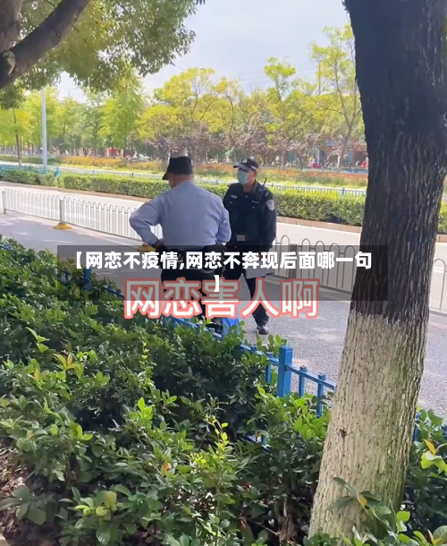 【网恋不疫情,网恋不奔现后面哪一句】
