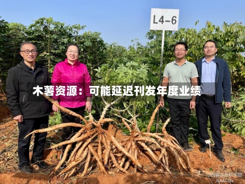 木薯资源：可能延迟刊发年度业绩