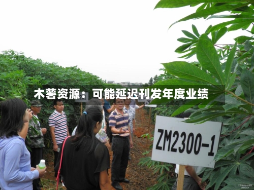 木薯资源:可能延迟刊发年度业绩-第2张图片