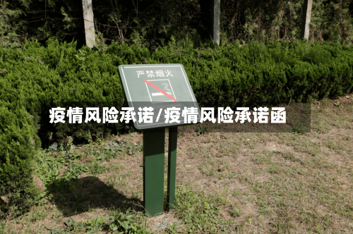 疫情风险承诺/疫情风险承诺函-第2张图片