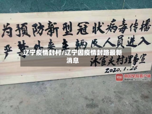 辽宁疫情封村/辽宁因疫情封路最新消息