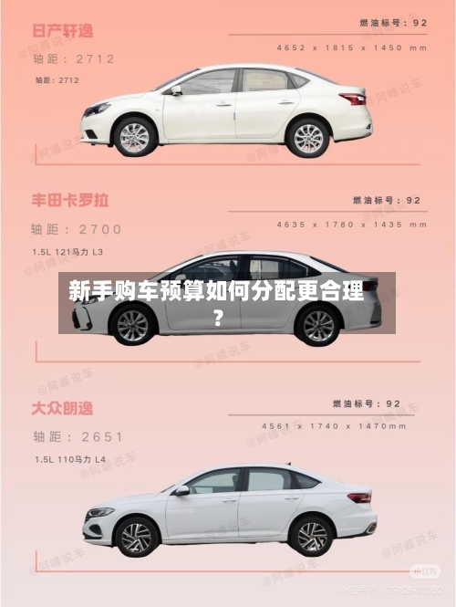 新手购车预算如何分配更合理?-第3张图片