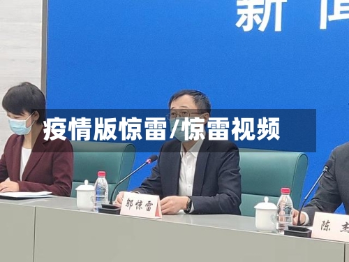 疫情版惊雷/惊雷视频-第2张图片