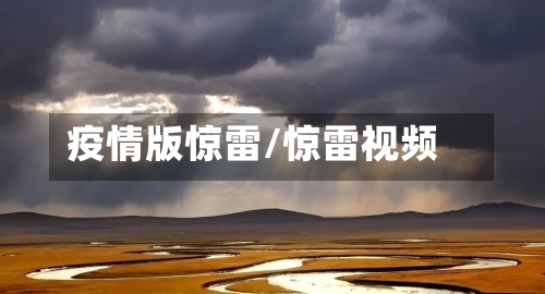 疫情版惊雷/惊雷视频-第3张图片