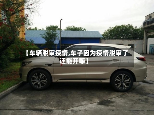 【车辆脱审疫情,车子因为疫情脱审了还能开嘛】-第3张图片