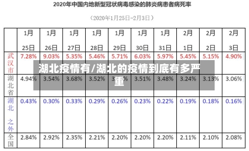 湖北疫情有/湖北的疫情到底有多严重-第2张图片