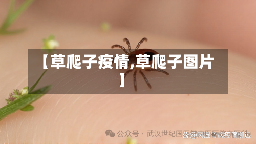 【草爬子疫情,草爬子图片】-第2张图片