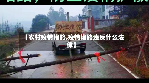 【农村疫情堵路,疫情堵路违反什么法律】-第2张图片