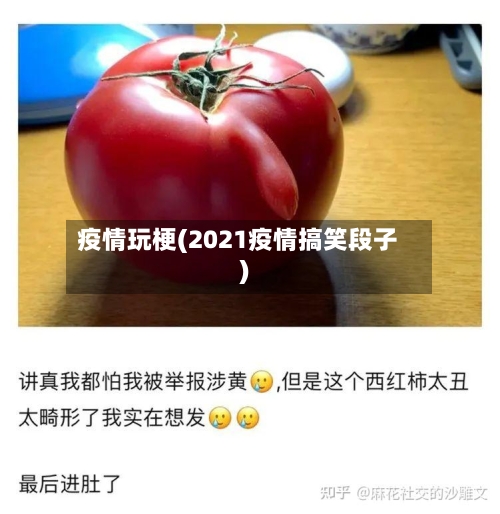 疫情玩梗(2021疫情搞笑段子)-第2张图片