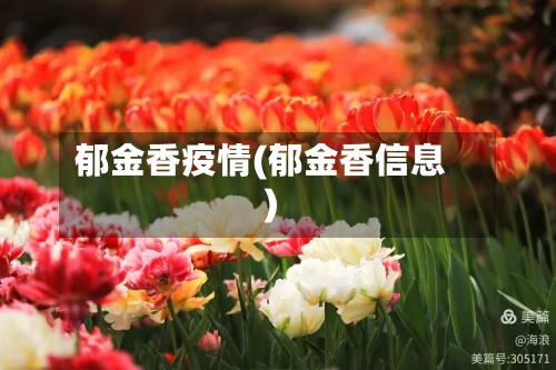 郁金香疫情(郁金香信息)-第2张图片
