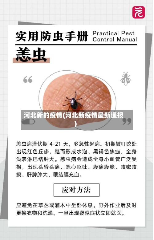 河北新的疫情(河北新疫情最新通报)