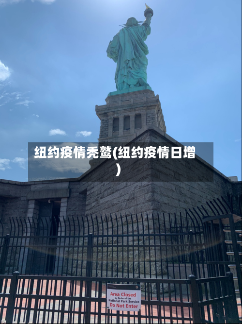 纽约疫情秃鹫(纽约疫情日增)-第2张图片