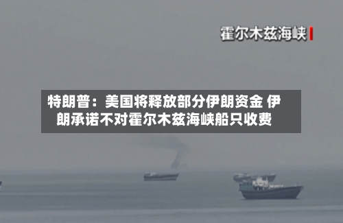 特朗普：美国将释放部分伊朗资金 伊朗承诺不对霍尔木兹海峡船只收费