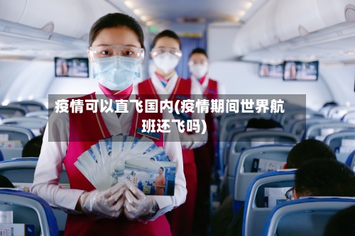 疫情可以直飞国内(疫情期间世界航班还飞吗)-第2张图片