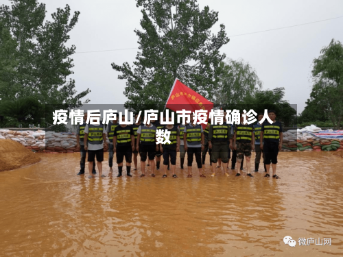 疫情后庐山/庐山市疫情确诊人数-第2张图片