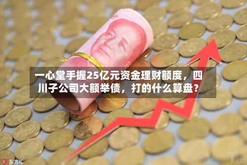 一心堂手握25亿元资金理财额度，四川子公司大额举债，打的什么算盘？