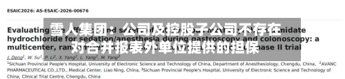 雪人集团：公司及控股子公司不存在对合并报表外单位提供的担保