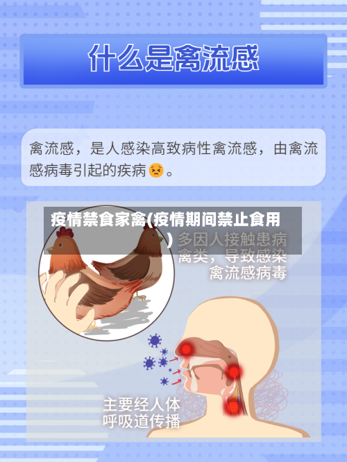 疫情禁食家禽(疫情期间禁止食用)-第2张图片