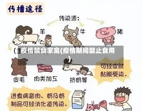 疫情禁食家禽(疫情期间禁止食用)