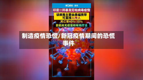 制造疫情恐慌/新冠疫情期间的恐慌事件-第2张图片
