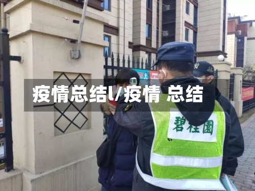 疫情总结l/疫情 总结-第3张图片