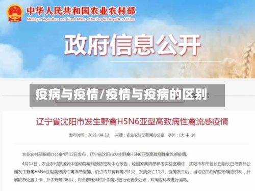 疫病与疫情/疫情与疫病的区别