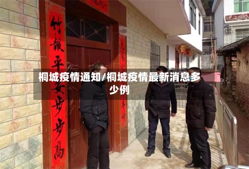 桐城疫情通知/桐城疫情最新消息多少例-第2张图片