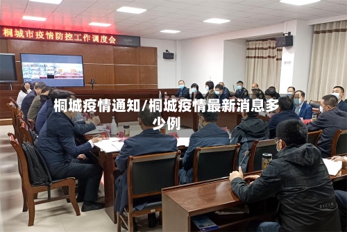 桐城疫情通知/桐城疫情最新消息多少例-第3张图片