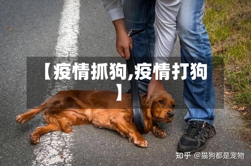 【疫情抓狗,疫情打狗】-第2张图片