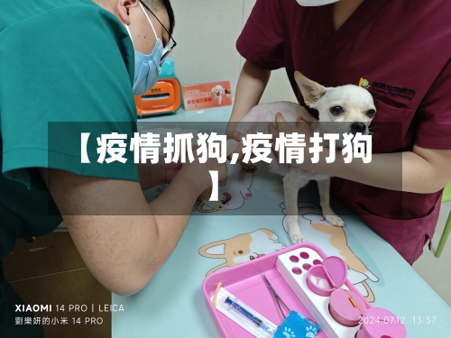 【疫情抓狗,疫情打狗】-第3张图片