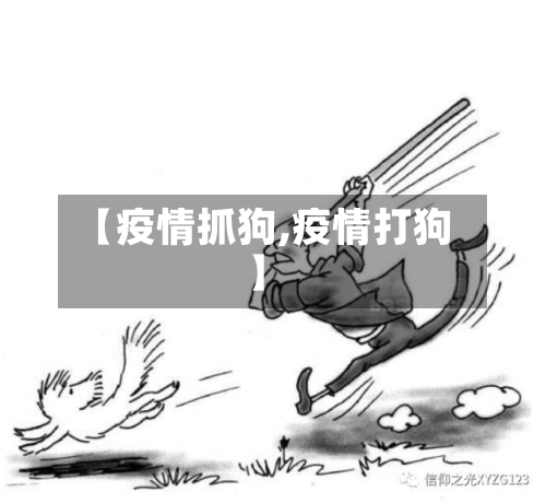【疫情抓狗,疫情打狗】