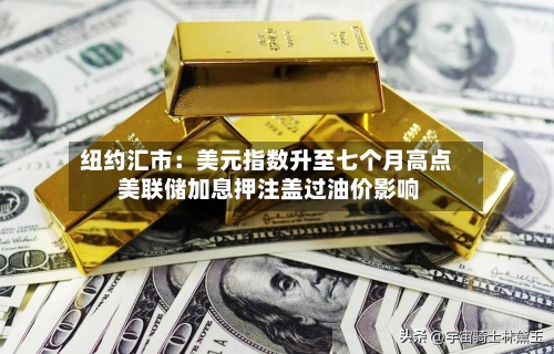 纽约汇市：美元指数升至七个月高点 美联储加息押注盖过油价影响