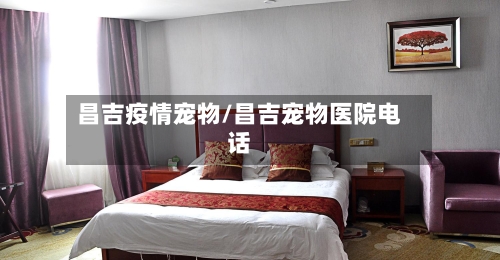 昌吉疫情宠物/昌吉宠物医院电话