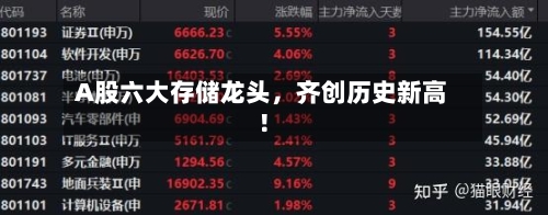 A股六大存储龙头，齐创历史新高！-第3张图片