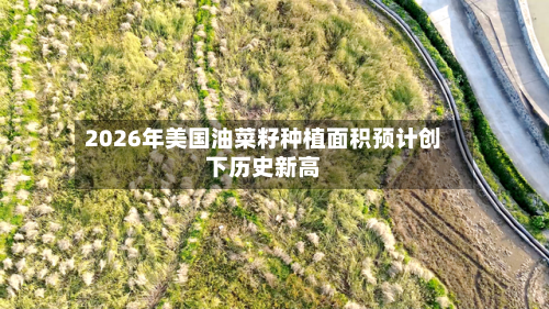 2026年美国油菜籽种植面积预计创下历史新高