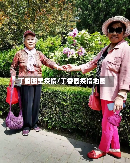 丁香园里疫情/丁香园疫情地图-第2张图片