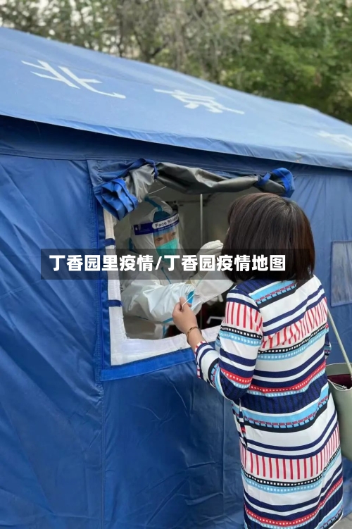 丁香园里疫情/丁香园疫情地图