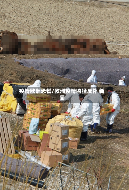 疫情欧洲恐慌/欧洲疫情凶猛反扑 新闻
