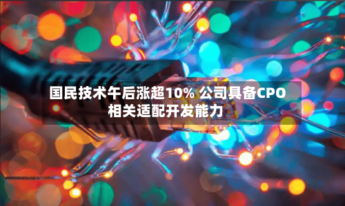 国民技术午后涨超10% 公司具备CPO相关适配开发能力-第3张图片