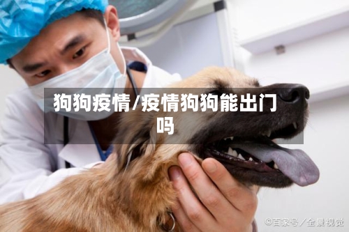 狗狗疫情/疫情狗狗能出门吗-第2张图片