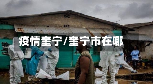 疫情奎宁/奎宁市在哪