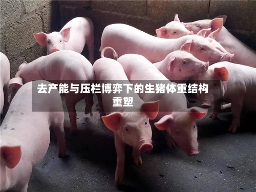 去产能与压栏博弈下的生猪体重结构重塑