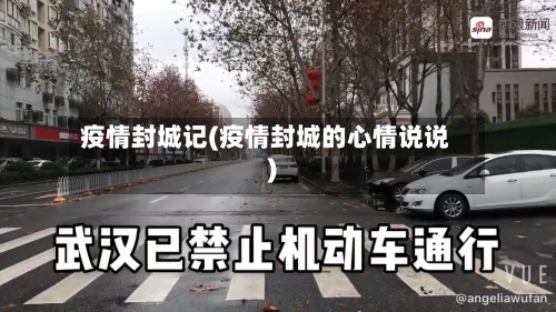 疫情封城记(疫情封城的心情说说)