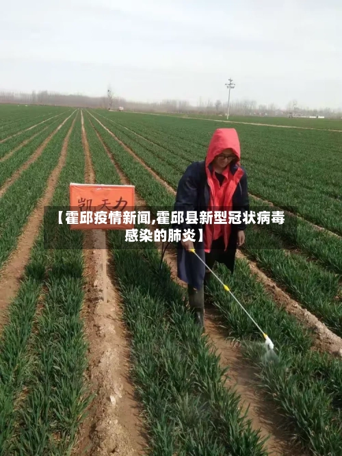 【霍邱疫情新闻,霍邱县新型冠状病毒感染的肺炎】