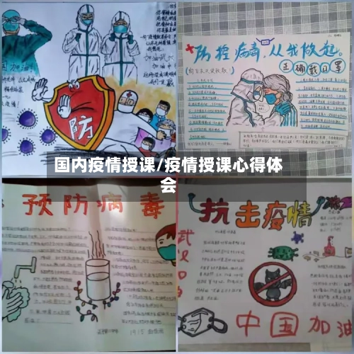 国内疫情授课/疫情授课心得体会-第2张图片
